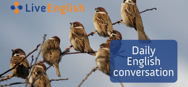 Adding Daily English Conversation To Your Routine