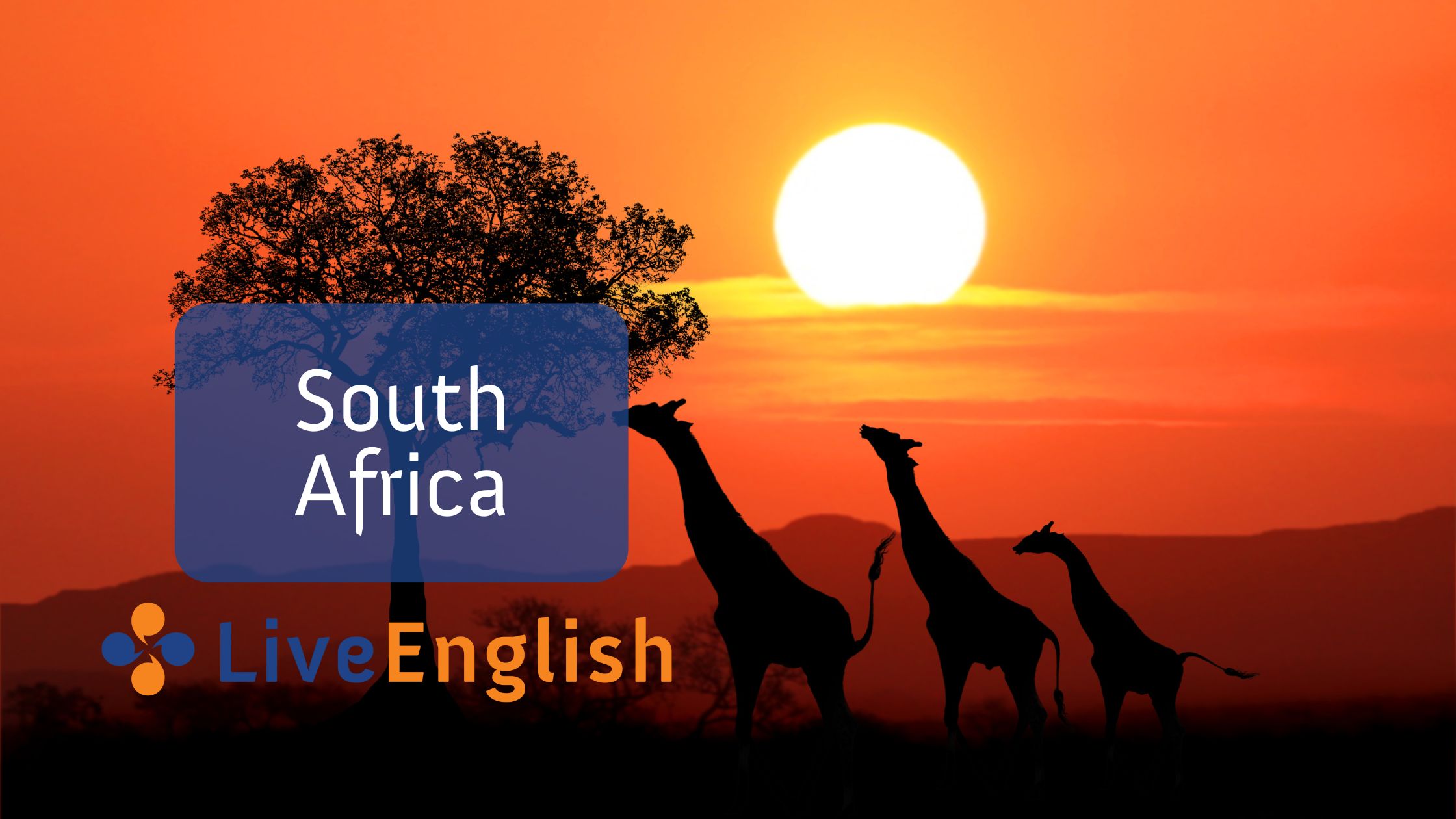 Visiting South Africa - Live-English.net