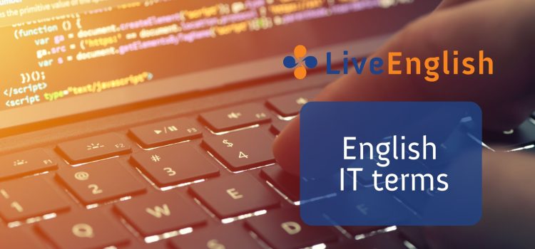 Top 15 English terms in IT